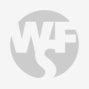 Board of Directors placeholder